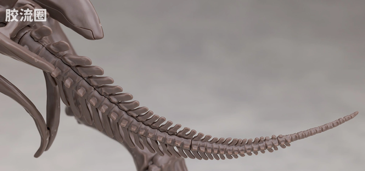 万代综合拼装模型系列 Imaginary Skeleton系列 三角龙 - 图片